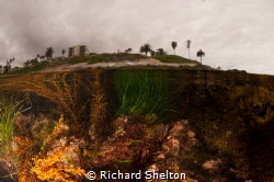 La Jolla tide Pool by Richard Shelton 